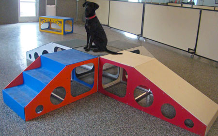 Dog sales play ramps